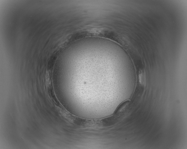 X0000079321347200612011831