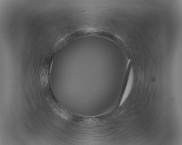 X0000079321348200612011831