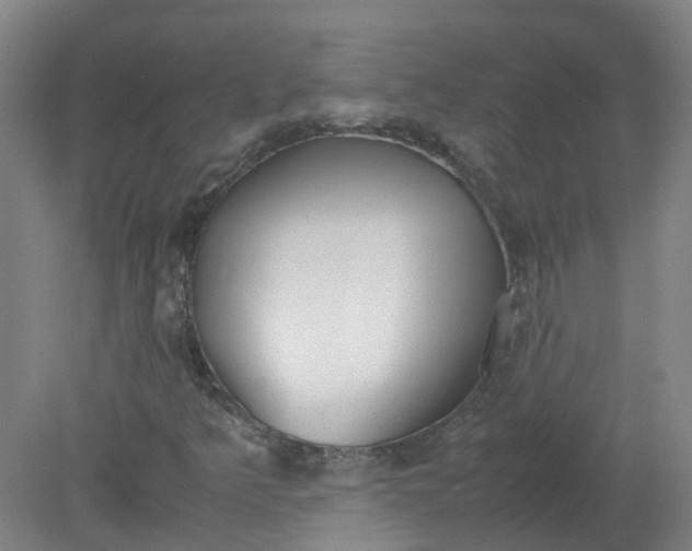 X0000079321349200612011831