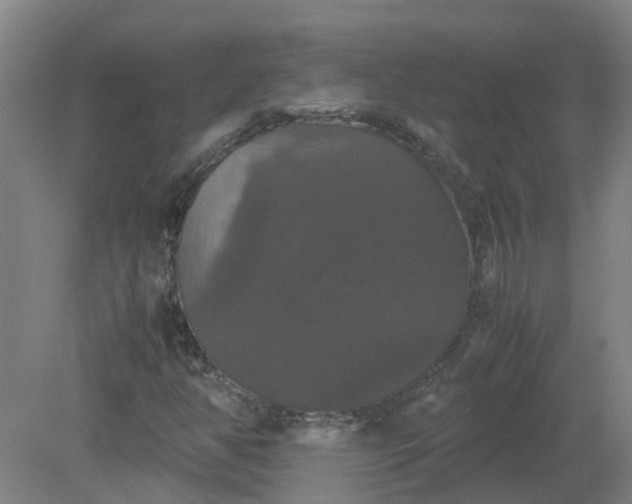 X0000079321350200612011831