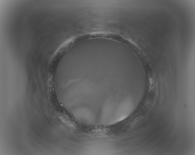 X0000079321351200612011831