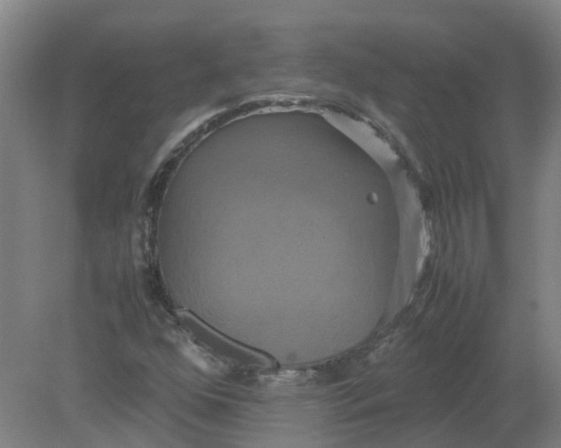 X0000079321352200612011831