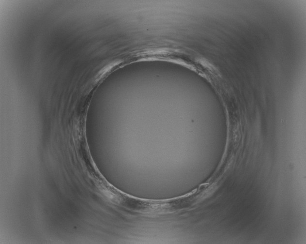 X0000079321353200612011831