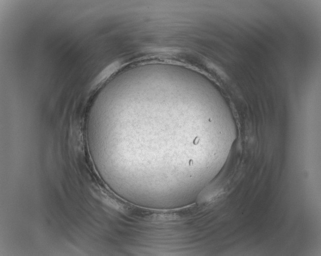 X0000079321354200612011831