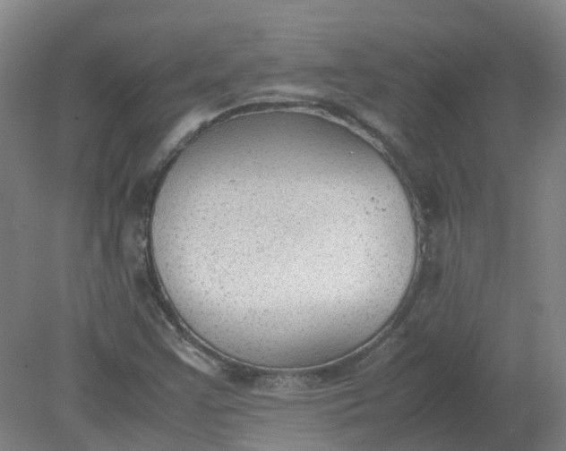 X0000079321355200612011831