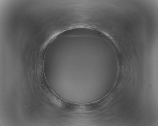 X0000079321359200612011831