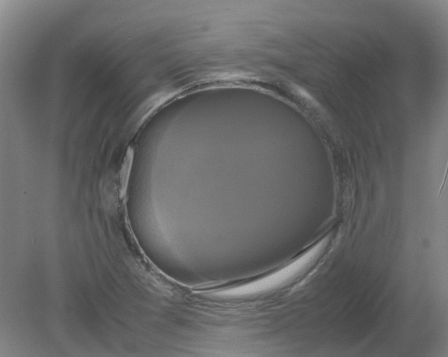 X0000079321361200612011831