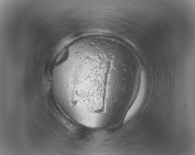 X0000079321363200612011831