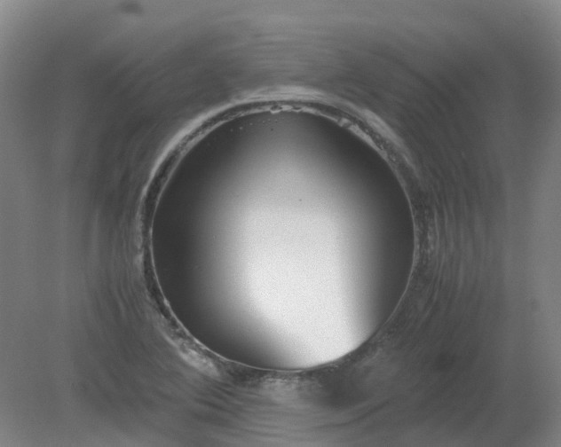 X0000079321364200612011831