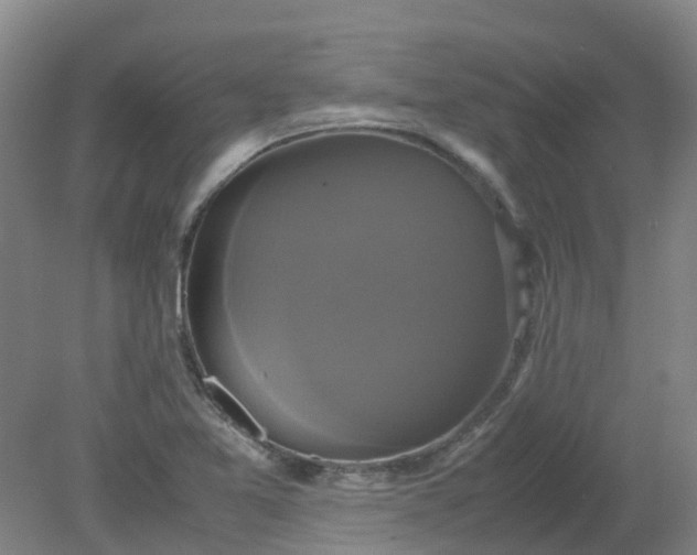 X0000079321365200612011831