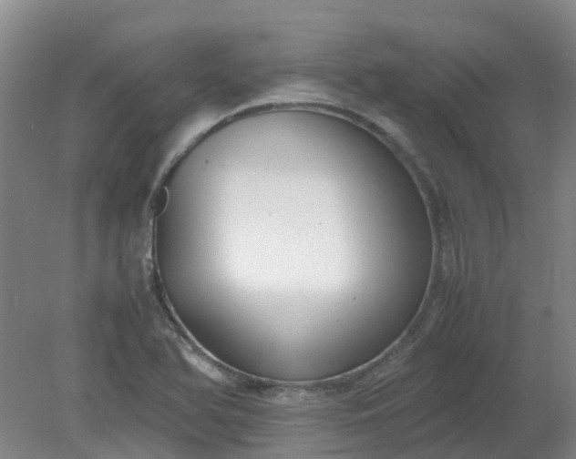 X0000079321366200612011831