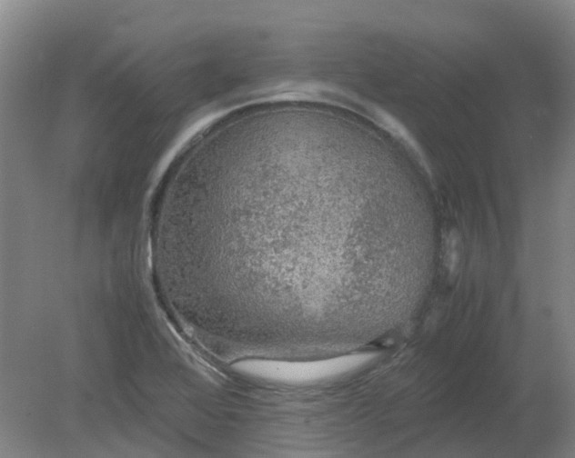 X0000079321368200612011831