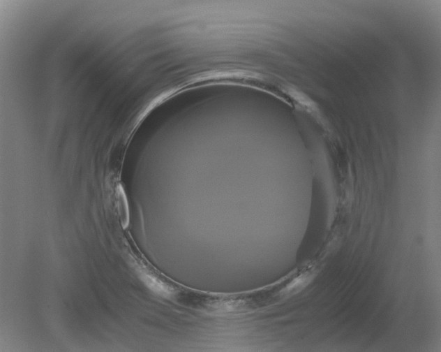 X0000079321369200612011831