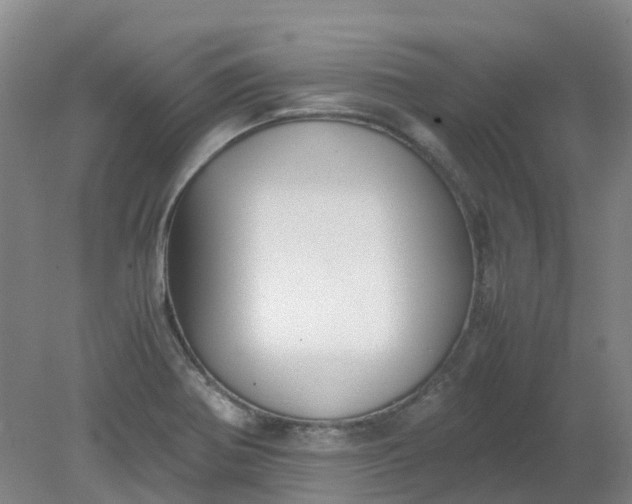 X0000079321370200612011831