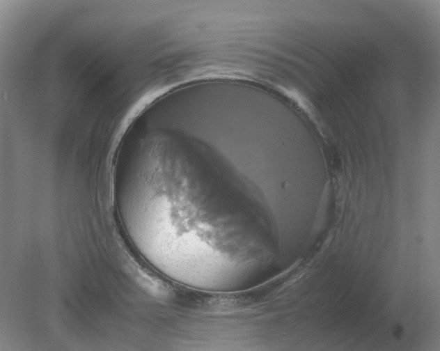 X0000079321371200612011831