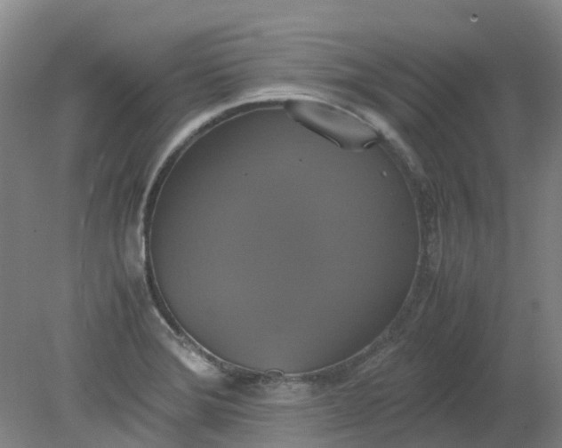 X0000079321372200612011831