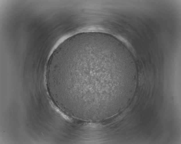 X0000079321374200612011831