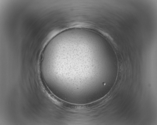 X0000079321375200612011831