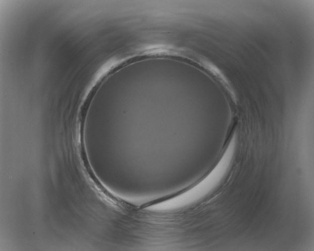 X0000079321376200612011831