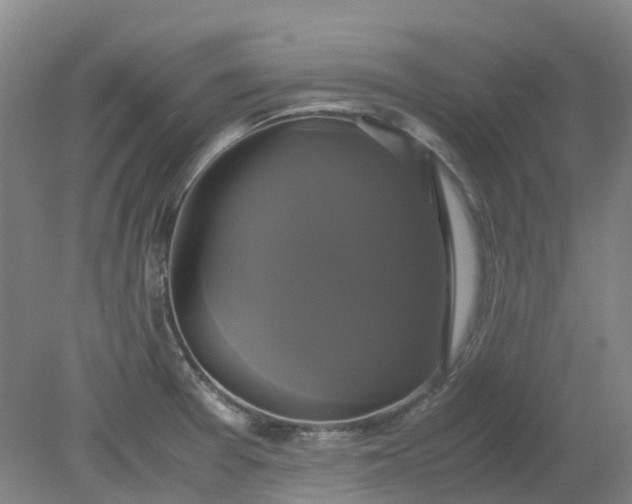 X0000079321377200612011831