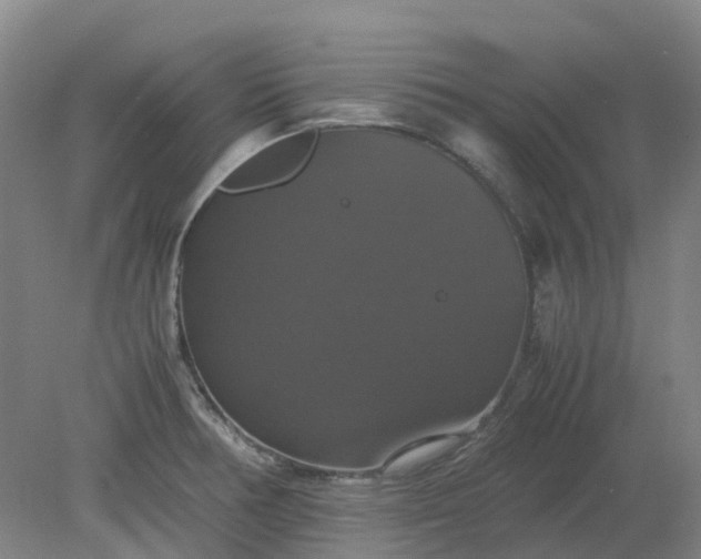 X0000079321378200612011831