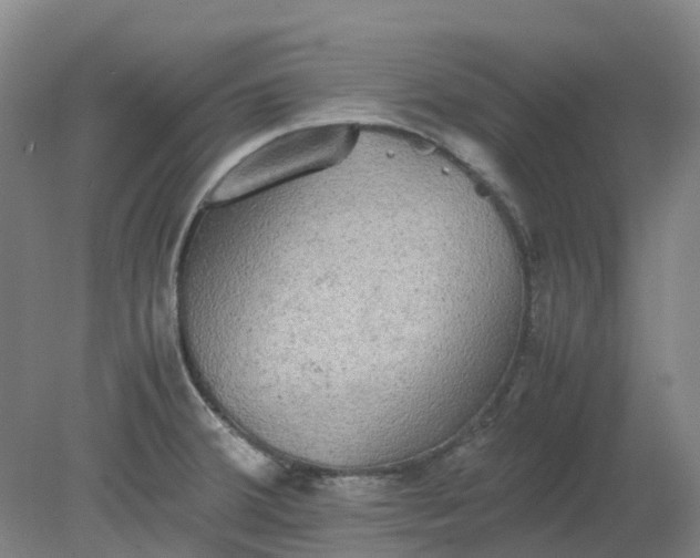 X0000079321380200612011831