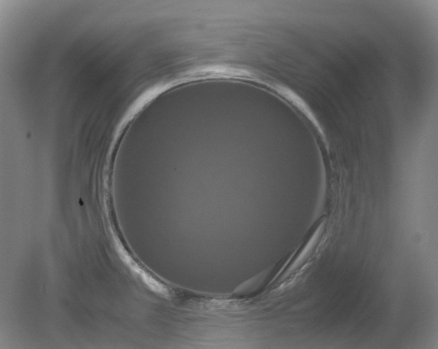 X0000079321381200612011831