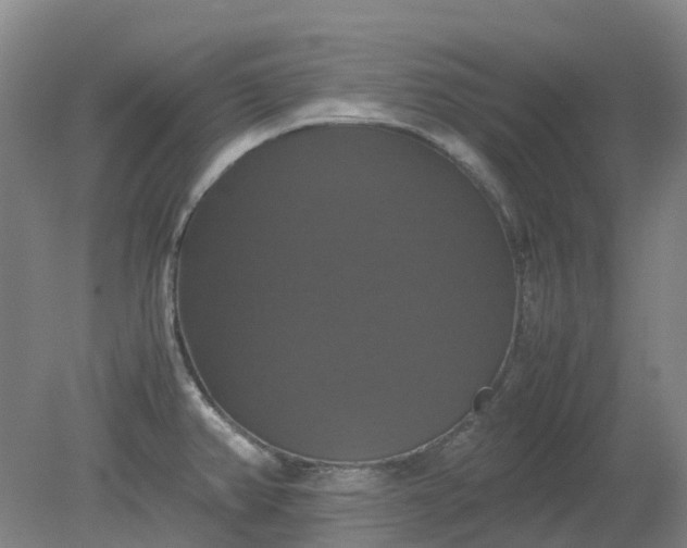 X0000079321382200612011831