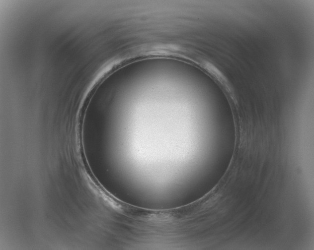 X0000079321384200612011831