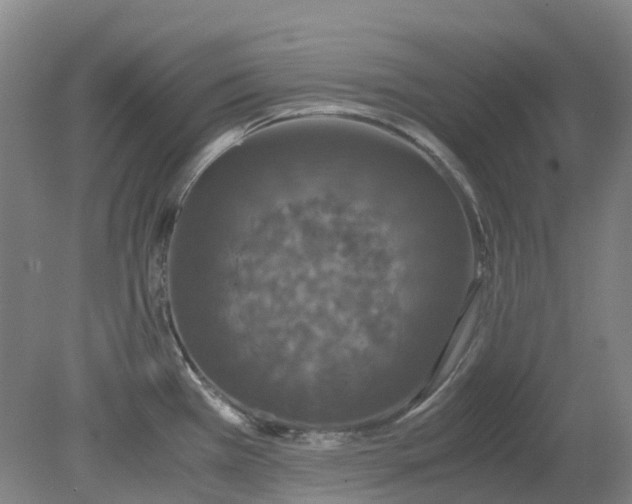 X0000079321385200612011831