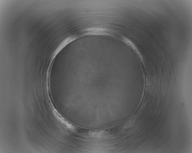 X0000079321386200612011831