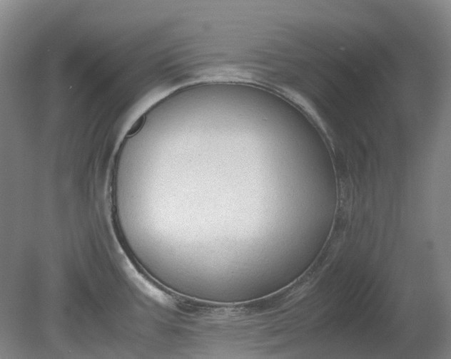 X0000079321387200612011831