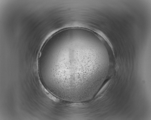 X0000079321388200612011831