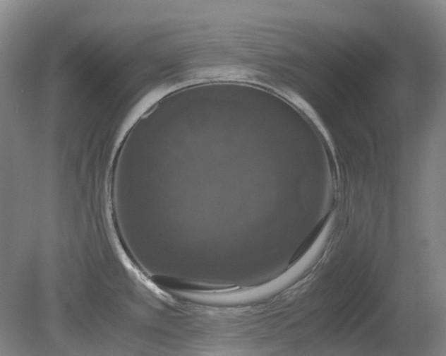 X0000079321389200612011831