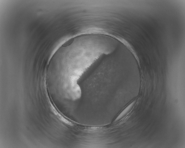 X0000079321390200612011831