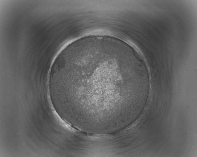 X0000079321392200612011831