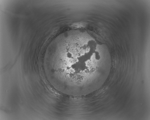 X0000079321393200612011830