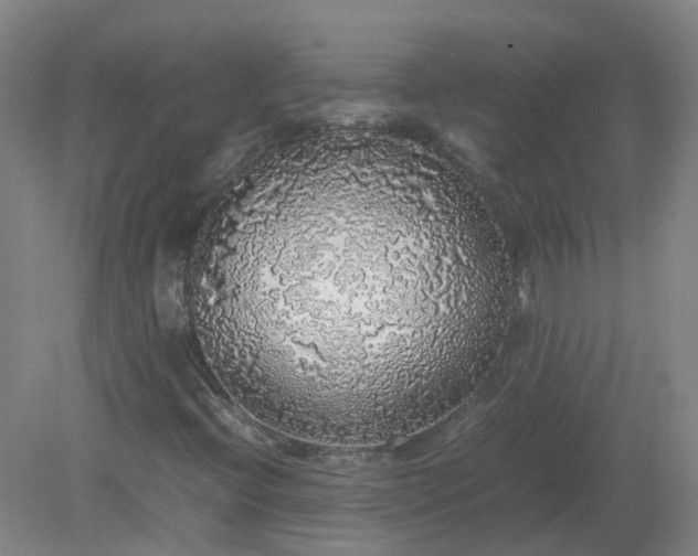 X0000079321396200612011830