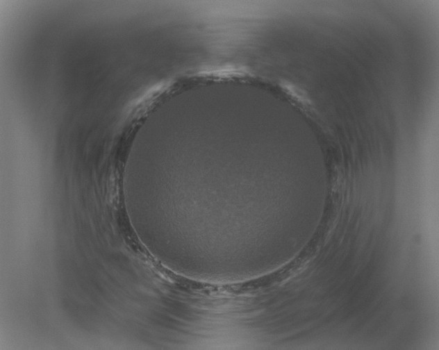 X0000079321398200612011830