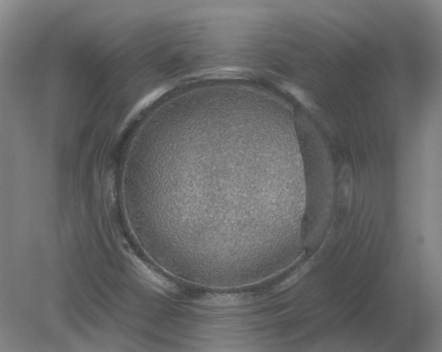 X0000079321402200612011830