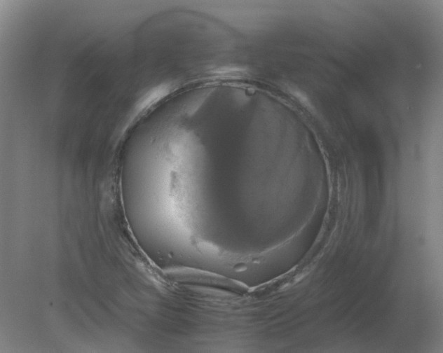 X0000079321405200612011830