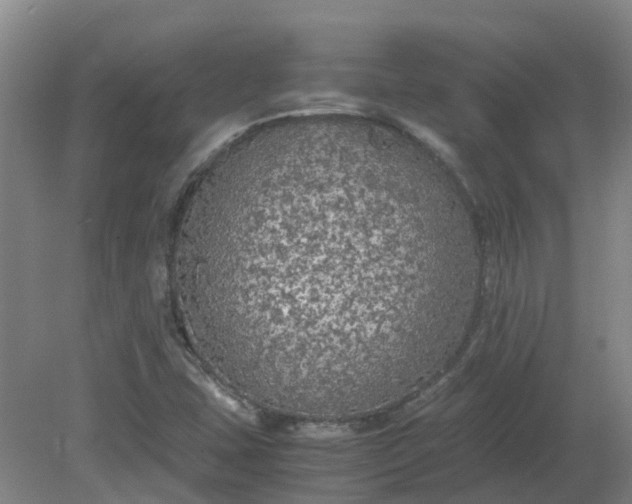 X0000079321407200612011830