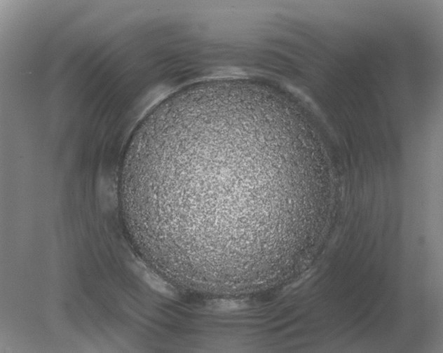 X0000079321409200612011830