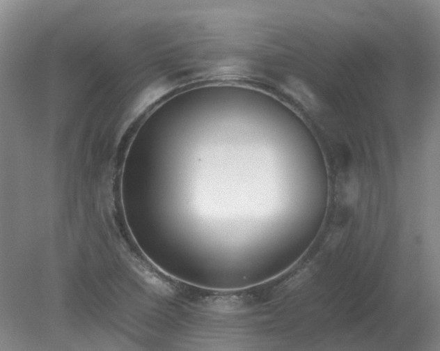 X0000079321410200612011830