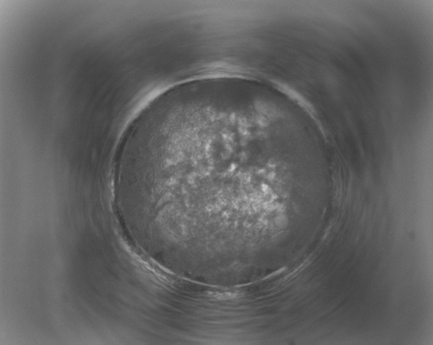 X0000079321415200612011830