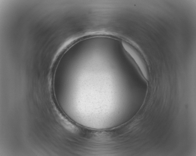 X0000079321416200612011830