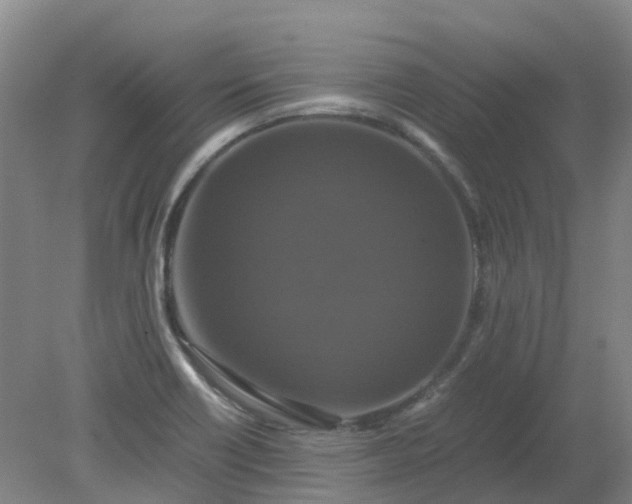 X0000079321418200612011830