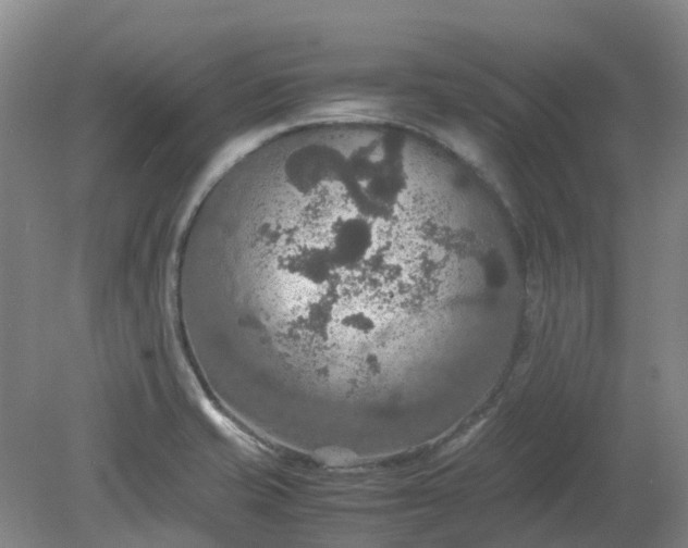 X0000079321421200612011830