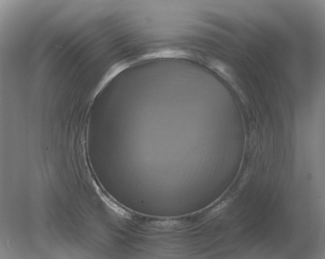 X0000079321425200612011830