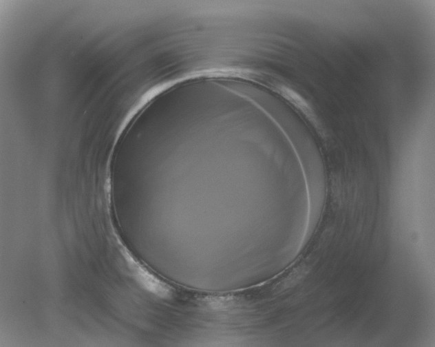 X0000079321428200612011830